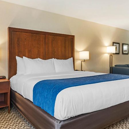 Comfort Inn & Suites Near Route 66 Lincoln Zimmer foto