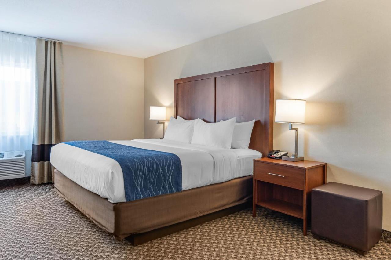 Comfort Inn & Suites Near Route 66 Lincoln Zimmer foto
